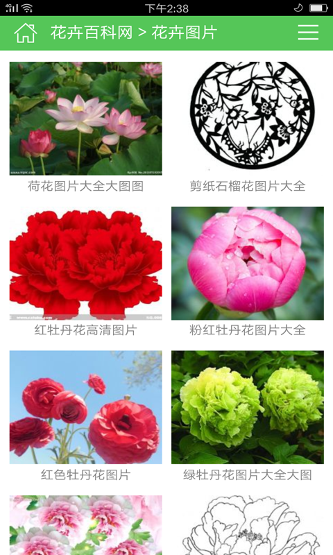 花苗大全正版下载安装